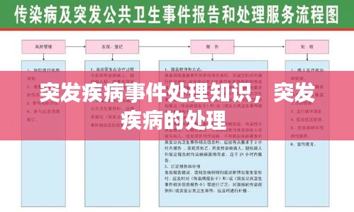 突发疾病事件处理知识，突发疾病的处理 