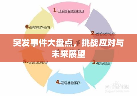 突发事件大盘点，挑战应对与未来展望