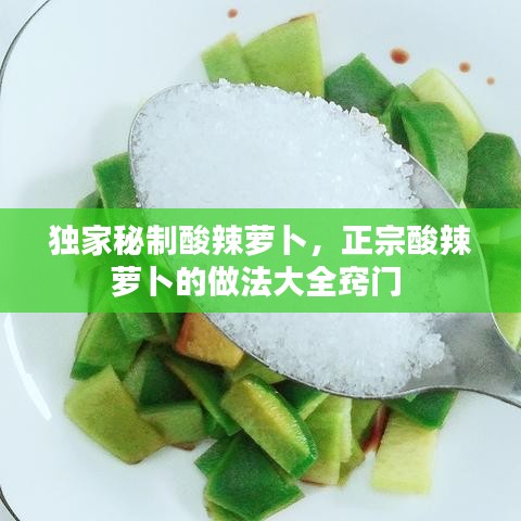 独家秘制酸辣萝卜，正宗酸辣萝卜的做法大全窍门 