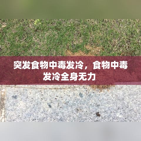 突发食物中毒发冷，食物中毒发冷全身无力 