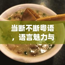 当断不断粤语，语言魅力与文化传承的独特韵味