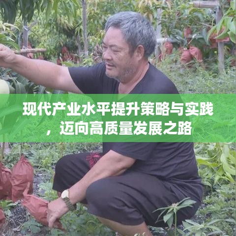 现代产业水平提升策略与实践，迈向高质量发展之路