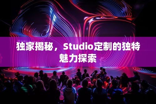 独家揭秘，Studio定制的独特魅力探索