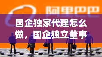 国企独家代理怎么做，国企独立董事是干什么的 