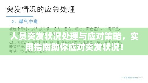 人员突发状况处理与应对策略，实用指南助你应对突发状况！