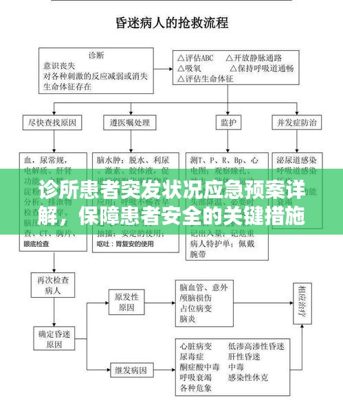 诊所患者突发状况应急预案详解，保障患者安全的关键措施