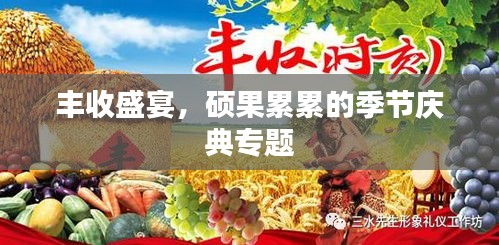 丰收盛宴，硕果累累的季节庆典专题