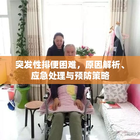 突发性排便困难，原因解析、应急处理与预防策略