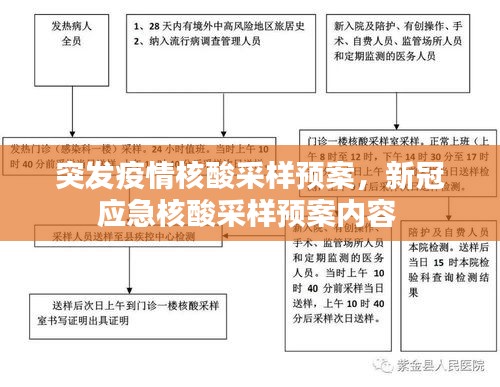 突发疫情核酸采样预案，新冠应急核酸采样预案内容 