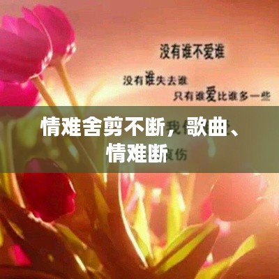 情难舍剪不断，歌曲、情难断 