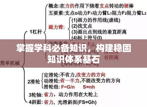 掌握学科必备知识，构建稳固知识体系基石