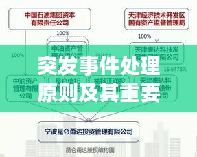 突发事件处理原则及其重要性解析