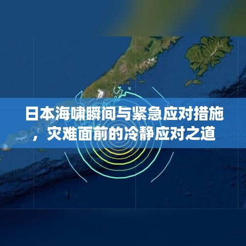 日本海啸瞬间与紧急应对措施，灾难面前的冷静应对之道