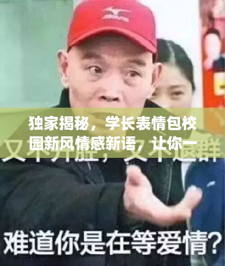 独家揭秘，学长表情包校园新风情感新语，让你一秒爱上校园时光！