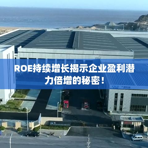 ROE持续增长揭示企业盈利潜力倍增的秘密！