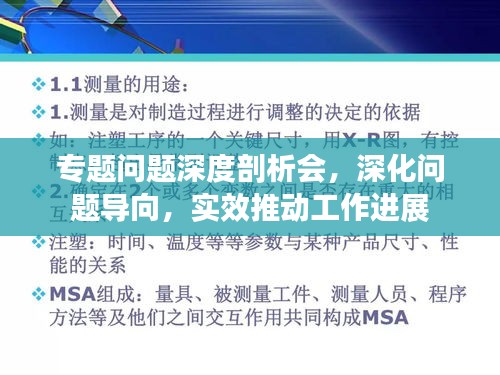 专题问题深度剖析会，深化问题导向，实效推动工作进展