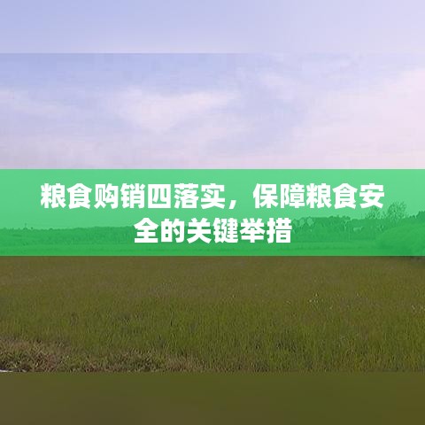 粮食购销四落实，保障粮食安全的关键举措