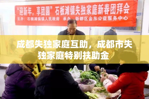 成都失独家庭互助，成都市失独家庭特别扶助金 