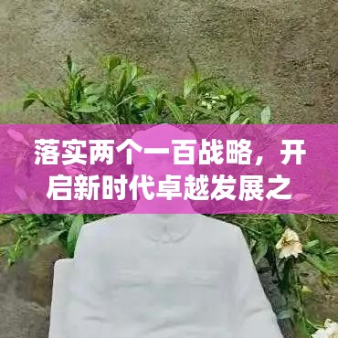 落实两个一百战略，开启新时代卓越发展之路