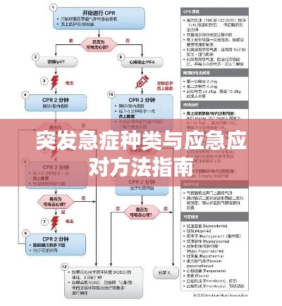 突发急症种类与应急应对方法指南