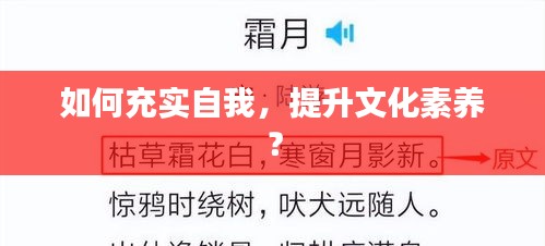 如何充实自我，提升文化素养？