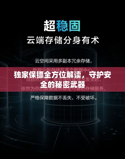 独家保镖全方位解读，守护安全的秘密武器