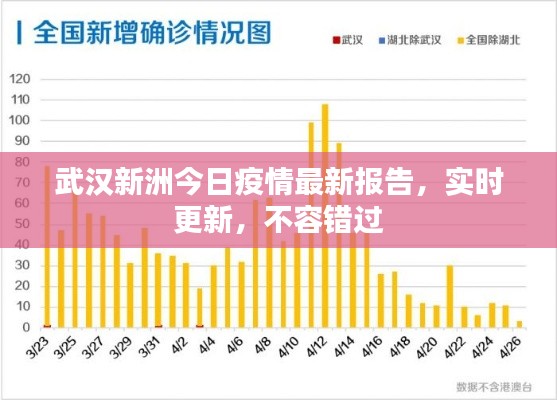 武汉新洲今日疫情最新报告，实时更新，不容错过