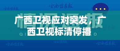 广西卫视应对突发，广西卫视标清停播 