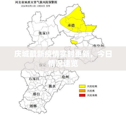 庆城最新疫情实时更新，今日情况速览