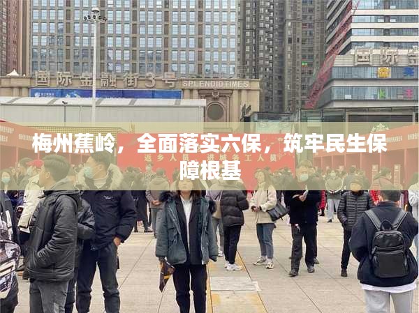 梅州蕉岭，全面落实六保，筑牢民生保障根基