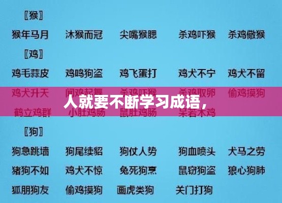 人就要不断学习成语， 