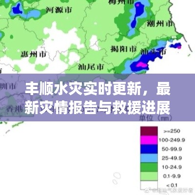 丰顺水灾实时更新，最新灾情报告与救援进展