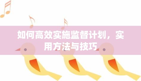 如何高效实施监督计划，实用方法与技巧