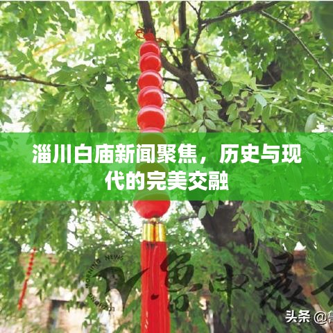 淄川白庙新闻聚焦，历史与现代的完美交融