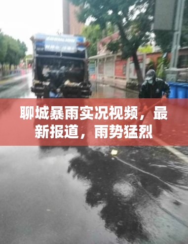 聊城暴雨实况视频，最新报道，雨势猛烈