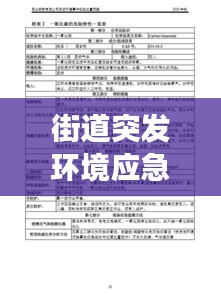 街道突发环境应急预案，突发环境应急事件预案 