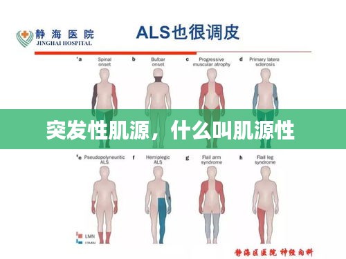 突发性肌源，什么叫肌源性 