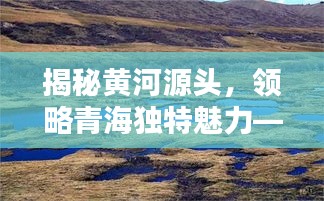 揭秘黄河源头，领略青海独特魅力——黄河新闻头条报道