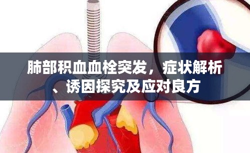 肺部积血血栓突发，症状解析、诱因探究及应对良方