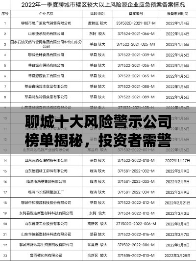 聊城十大风险警示公司榜单揭秘，投资者需警惕！