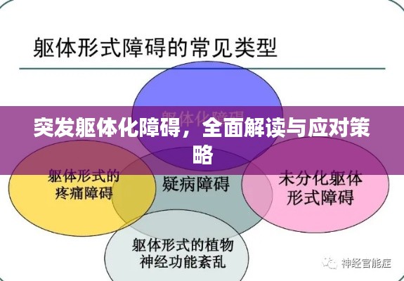 突发躯体化障碍，全面解读与应对策略