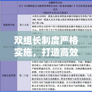 双组长制度严格实施，打造高效执行力的核心策略