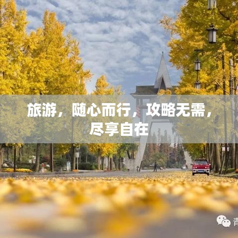 旅游，随心而行，攻略无需，尽享自在