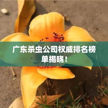 广东杀虫公司权威排名榜单揭晓！