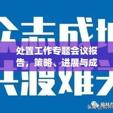 处置工作专题会议报告，策略、进展与成效分析