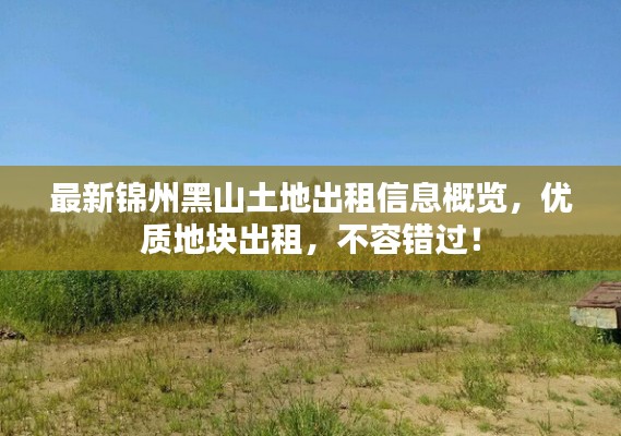 最新锦州黑山土地出租信息概览，优质地块出租，不容错过！