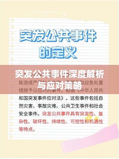 突发公共事件深度解析与应对策略