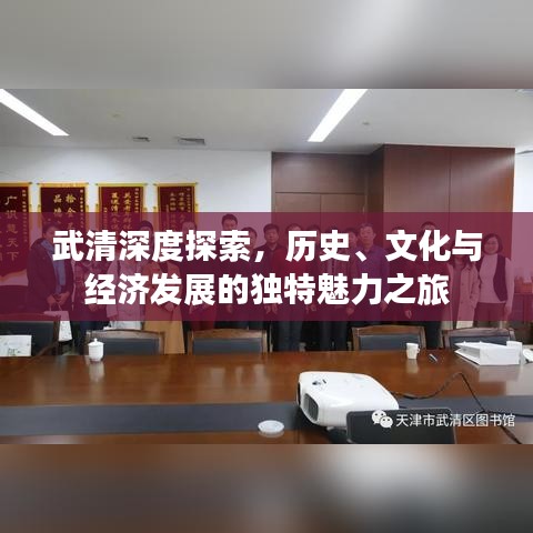 武清深度探索，历史、文化与经济发展的独特魅力之旅