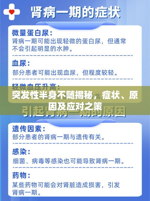 突发性半身不随揭秘，症状、原因及应对之策