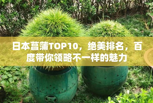 日本菖蒲TOP10，绝美排名，百度带你领略不一样的魅力